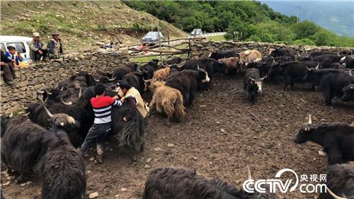 [�¸���(j��ng)]���f��ţؔ(c��i) ��ë������ 20180903 