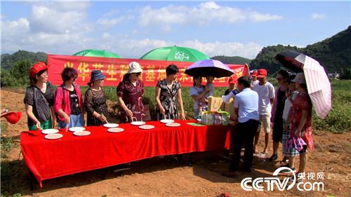 �¸���(j��ng)�����Ơ���������l(f��)�F(xi��n)��֮ؐ��(20170904)