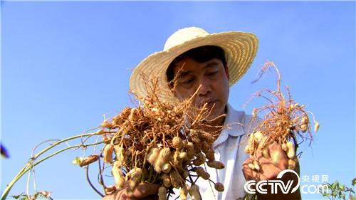 �¸���(j��ng)�����Ơ���������l(f��)�F(xi��n)��֮ؐ��(20170904)