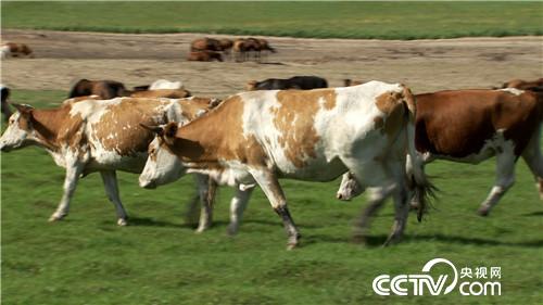 [�¸���(j��ng)]���؉��Ӟ�[�ؔ�С���|�fؔ 20180910 