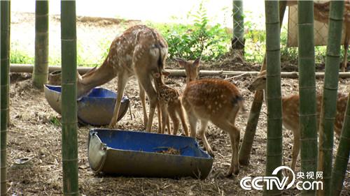 [�¸���]���TŮ����ɽ�B(y��ng)¹ һ���u��5000�f 20180828 