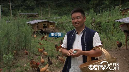 [�¸���(j��ng)]�������B(y��ng)�u�u�G�� �������u1000�f 20180906 