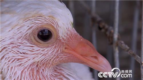 [�¸���(j��ng)]���Ƚ��ֵ��r�X�I�u ������u4000�f 20180912