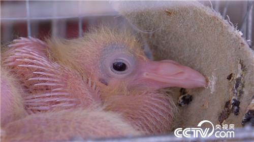 [�¸���(j��ng)]���Ƚ��ֵ��r�X�I�u ������u4000�f 20180912