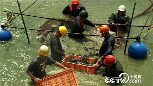 [�¸���(j��ng)]���ٶ����O���������B(y��ng)�~ �{ɶ�� 20180913 