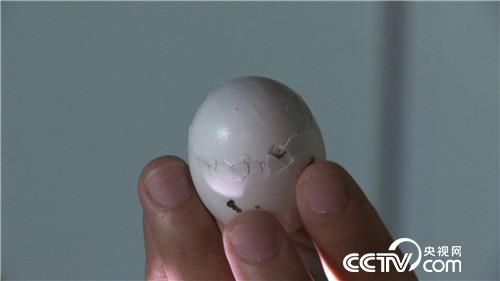 [�¸���(j��ng)]���Ƚ��ֵ��r�X�I�u ������u4000�f 20180912