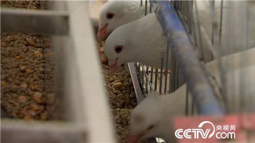 [�¸���(j��ng)]���Ƚ��ֵ��r�X�I�u ������u4000�f 20180912