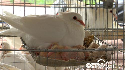 [�¸���(j��ng)]���Ƚ��ֵ��r�X�I�u ������u4000�f 20180912