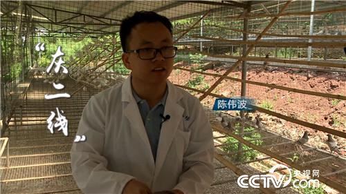 [�¸���(j��ng)]���Ƚ��ֵ��r�X�I�u ������u4000�f 20180912