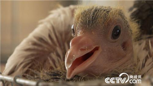 [�¸���(j��ng)]���Ƚ��ֵ��r�X�I�u ������u4000�f 20180912