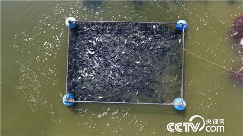 [�¸���(j��ng)]���ٶ����O���������B(y��ng)�~ �{ɶ�� 20180913 