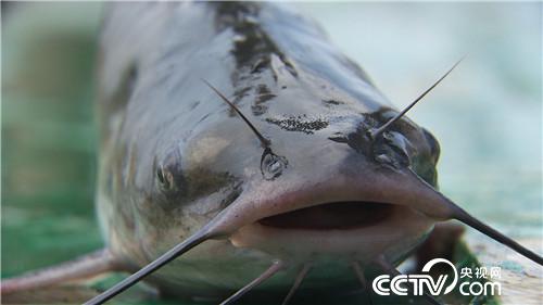 [�¸���(j��ng)]���ٶ����O���������B(y��ng)�~ �{ɶ�� 20180913 