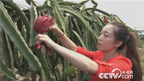 [�¸���(j��ng)]����Ů��һ�_�� ϡ���з��uǧ�f 20180920 