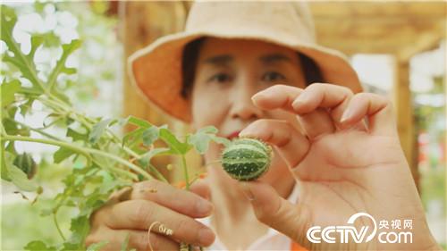 [�¸���(j��ng)]����Ů��һ�_�� ϡ���з��uǧ�f 20180920 