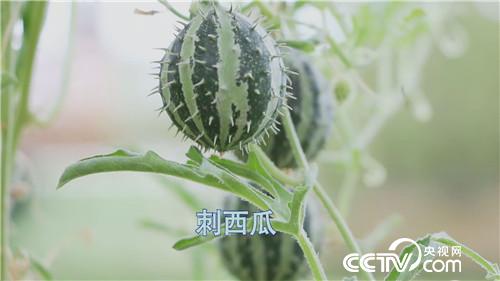 [�¸���(j��ng)]����Ů��һ�_�� ϡ���з��uǧ�f 20180920 