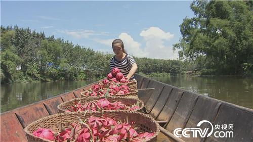 [�¸���(j��ng)]����Ů��һ�_�� ϡ���з��uǧ�f 20180920 