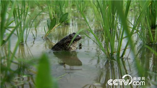 [�¸���(j��ng)]���H����һ���� Т�ӷN���|�fؔ 20180919 