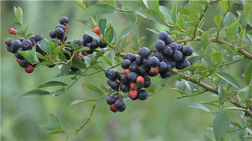 [�¸���(j��ng)]ؔ(c��i)���ɵε� ����ٍ�X������ 20180924 