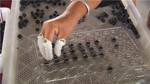 [�¸���(j��ng)]ؔ(c��i)���ɵε� ����ٍ�X������ 20180924 