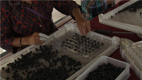 [�¸���(j��ng)]ؔ(c��i)���ɵε� ����ٍ�X������ 20180924 