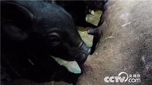 [¸(jng)]@ɽ u3000f 20180917