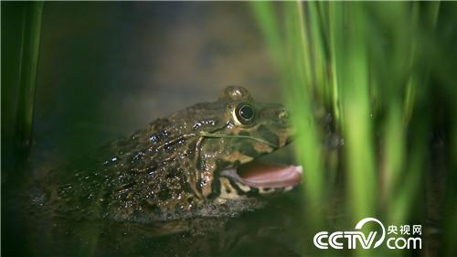 [�¸���(j��ng)]���H����һ���� Т�ӷN���|�fؔ 20180919 