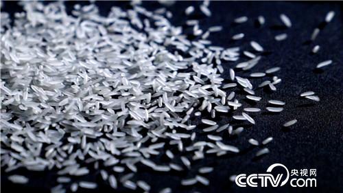 [�¸���(j��ng)]���H����һ���� Т�ӷN���|�fؔ 20180919 