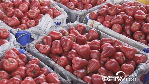 [�¸���(j��ng)]����Ů��һ�_�� ϡ���з��uǧ�f 20180920 