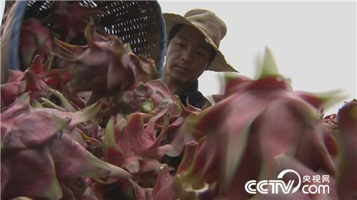 [�¸���(j��ng)]����Ů��һ�_�� ϡ���з��uǧ�f 20180920 