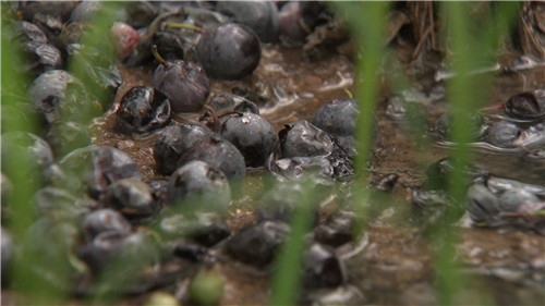 [�¸���(j��ng)]ؔ(c��i)���ɵε� ����ٍ�X������ 20180924 