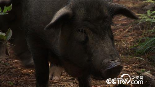 [¸(jng)]@ɽ u3000f 20180917