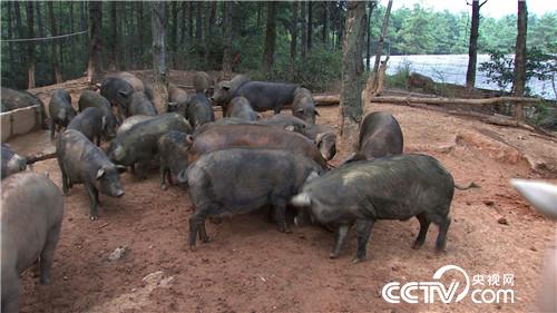 [¸(jng)]@ɽ u3000f 20180917