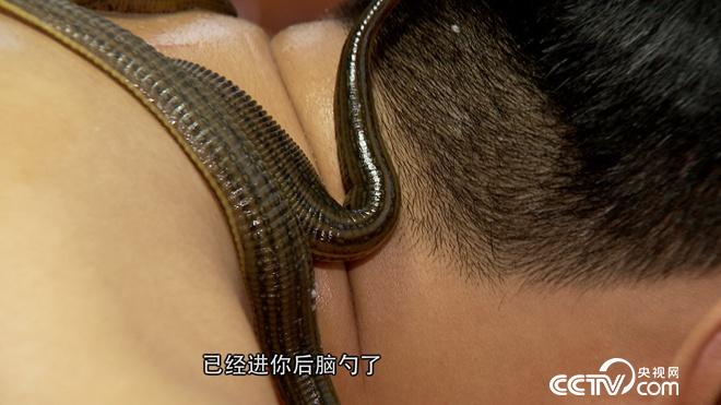 這種東西招人嫌 他卻年賺500萬