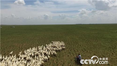 [¸(jng)]TŮu һֻrֵ7000Ԫ 20181011 