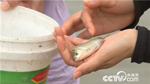 [�¸���(j��ng)]���~����&ldquo;�ܲ��C&rdquo; ����ؔ����ϡ�� 20181025 