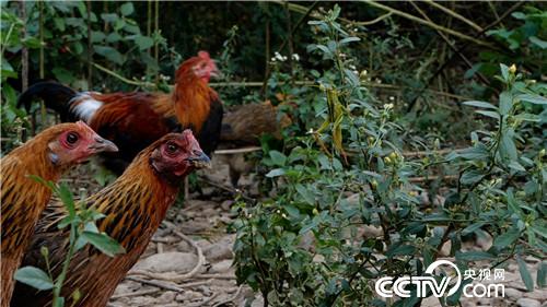 [�¸���(j��ng)]���u�������h ����ٍ��(l��i)��ǧ�f(w��n) 20181023 