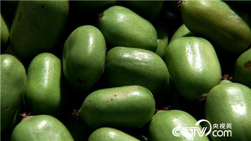 [�¸���(j��ng)]�����¸ɱ� ����������ٍ���f 20181106