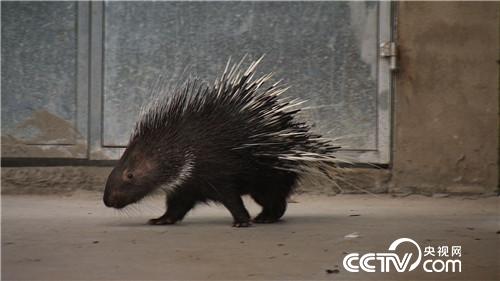 ���̃�������ٍ��(l��i)ǧ�f(w��n)ؔ(c��i)