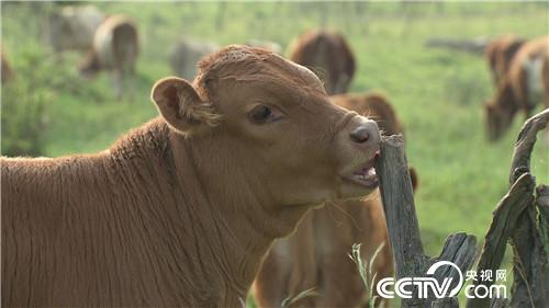 [�¸���(j��ng)]�����v ��Ұ�� �������ă|�f(w��n)���� 20181108 