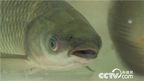 [�¸���(j��ng)]���~����&ldquo;�ܲ��C&rdquo; ����ؔ����ϡ�� 20181025 