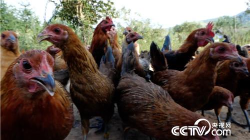 [�¸���(j��ng)]���u�������h ����ٍ��(l��i)��ǧ�f(w��n) 20181023 