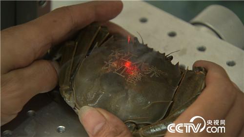 [�¸���(j��ng)]���~����&ldquo;�ܲ��C&rdquo; ����ؔ����ϡ�� 20181025 