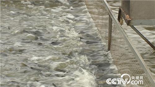 [�¸���(j��ng)]���~����&ldquo;�ܲ��C&rdquo; ����ؔ����ϡ�� 20181025 