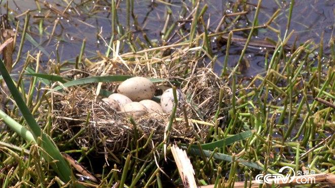 �¸���(j��ng)