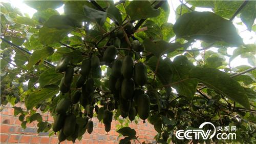 [�¸���(j��ng)]�����¸ɱ� ����������ٍ���f 20181106