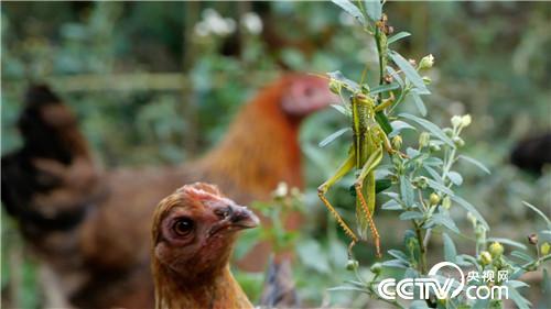 [�¸���(j��ng)]���u�������h ����ٍ��(l��i)��ǧ�f(w��n) 20181023 