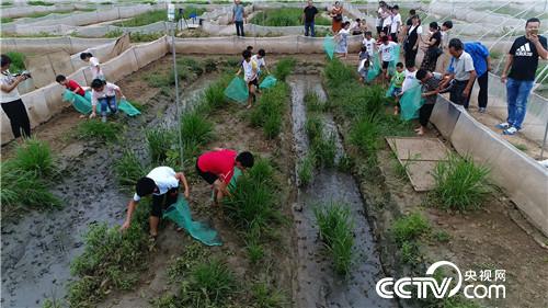 [�¸���(j��ng)]һ�K����W(w��ng)�� ��������һ�궵��600�f 20181105