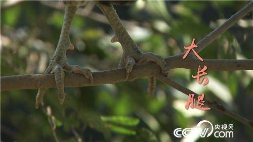 [�¸���(j��ng)]����У�L(zh��ng)�B(y��ng)�w�u һö���u9.9Ԫ 20181107