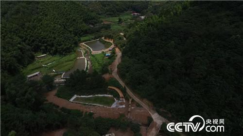 [�¸���(j��ng)]ֻ�Բݵ��~(y��) �����؈�� ׌����ٍ600�f(w��n) 20181022 