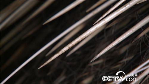 ���̃�������ٍ��(l��i)ǧ�f(w��n)ؔ(c��i)